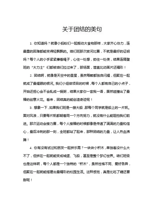 关于团结的美句