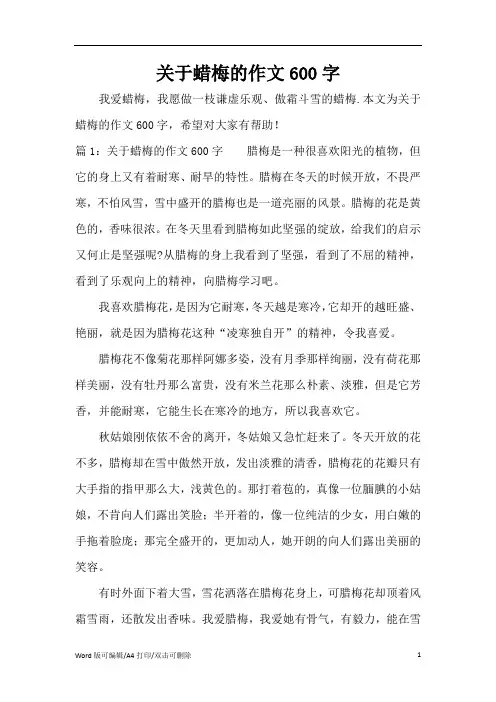 关于蜡梅的作文600字(精编版)