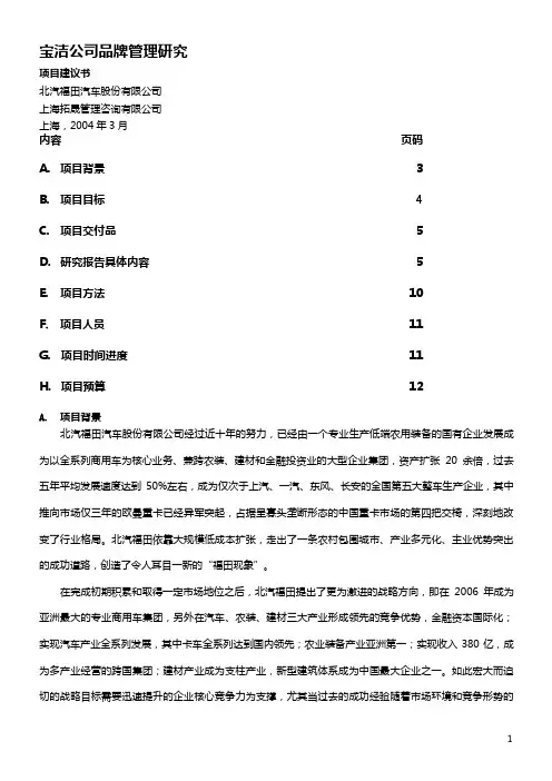 《宝洁品牌管理研究》项目建议书040317剖析