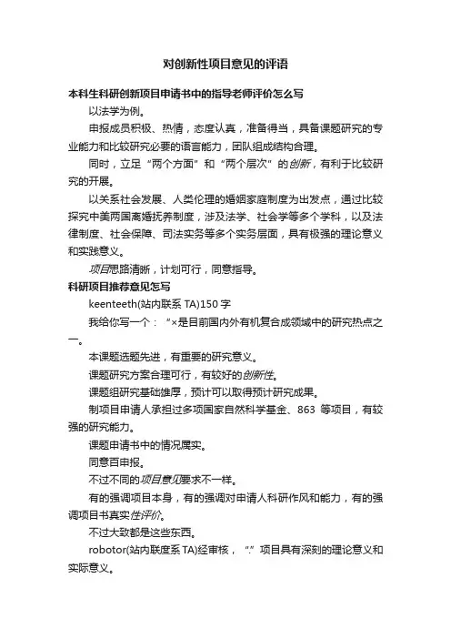 对创新性项目意见的评语