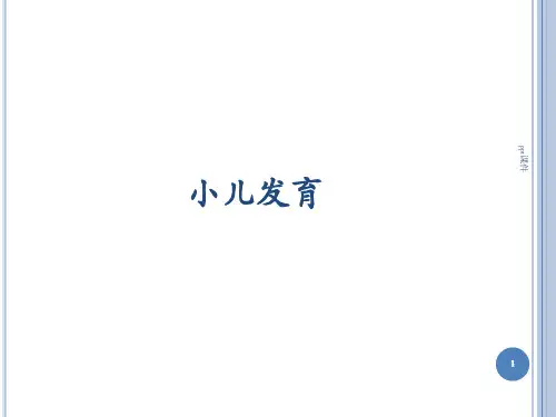 神经系统发育  ppt课件