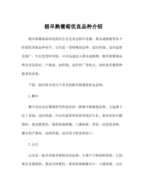 极早熟葡萄优良品种介绍