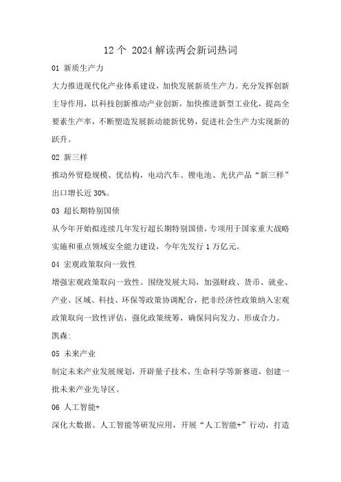 12个 2024全国两会新词热词