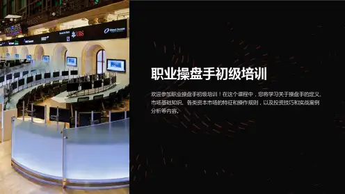 职业操盘手初级培训
