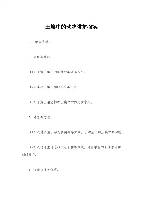土壤中的动物讲解教案
