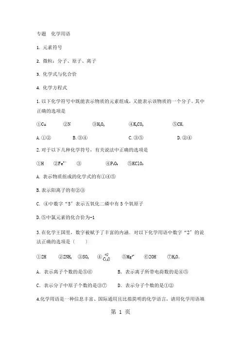 人教版九年级化学(上)专题  化学用语练习题(无答案)