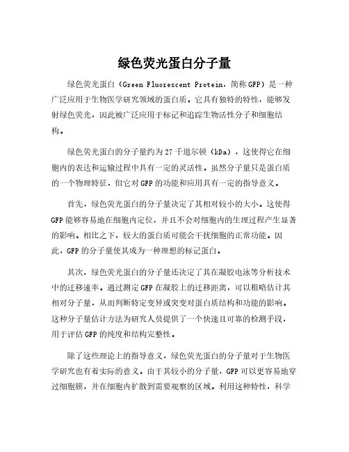 绿色荧光蛋白分子量