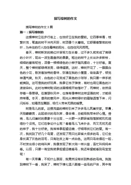 描写樟树的作文3篇