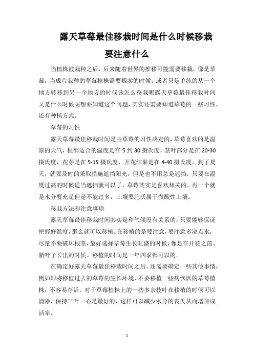 露天草莓最佳移栽时间是什么时候移栽要注意什么