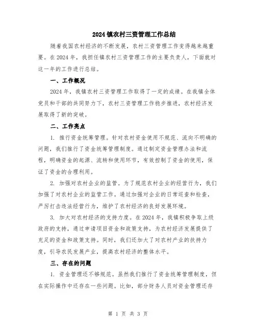 2024镇农村三资管理工作总结