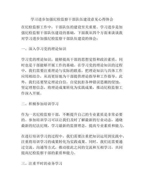 学习进步加强纪检监察干部队伍建设意见心得体会