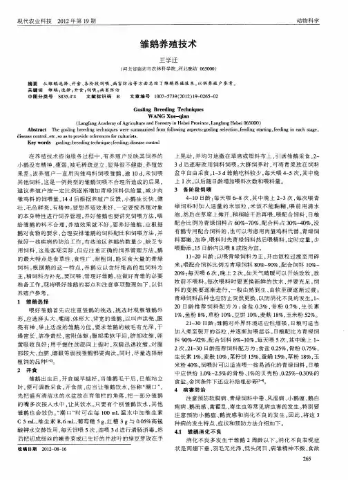 雏鹅养殖技术