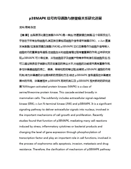 p38MAPK信号传导通路与卵巢癌关系研究进展