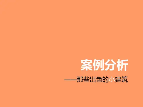 (案例分析)小建筑.pptx