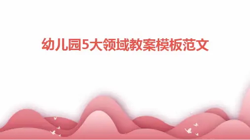2024版幼儿园5大领域教案模板范文