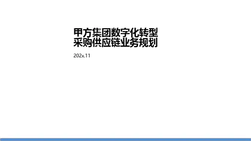 IBM 某名企数字化转型- 采购供应链业务+管理财务业务q