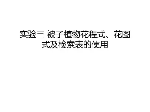 实验三 被子植物花程式、花图式及检索表的使用教学资料