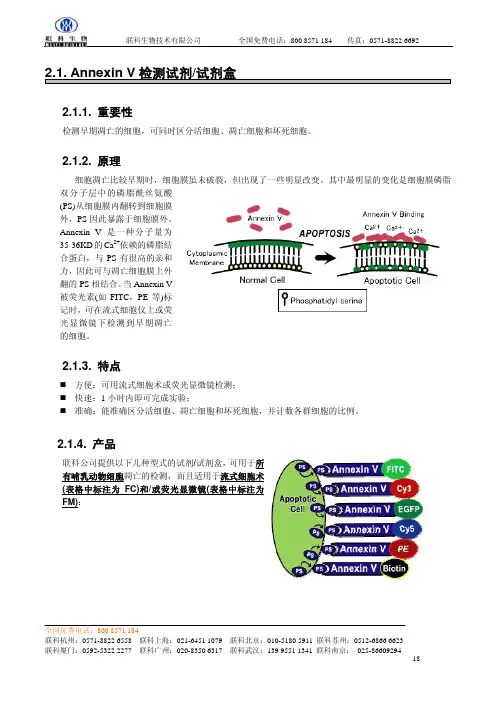 Annexin V 检测试剂