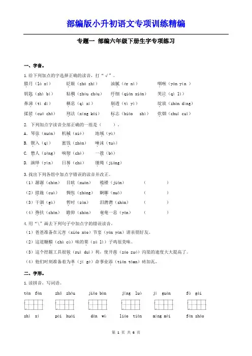 部编版小升初语文专项训练----生字专项训练精编附参考答案