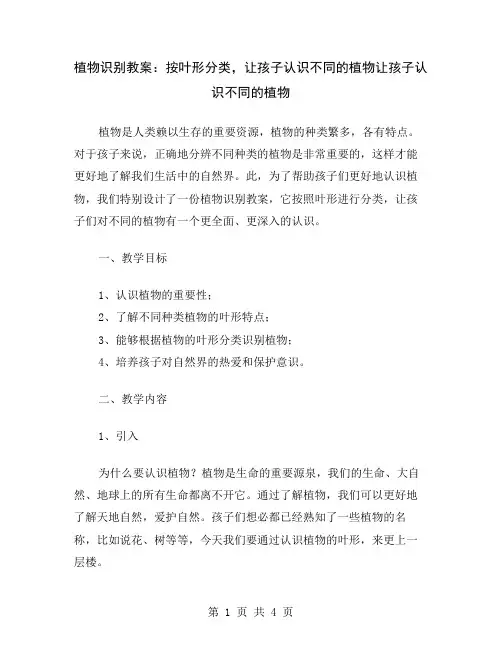 植物识别教案：按叶形分类,让孩子认识不同的植物
