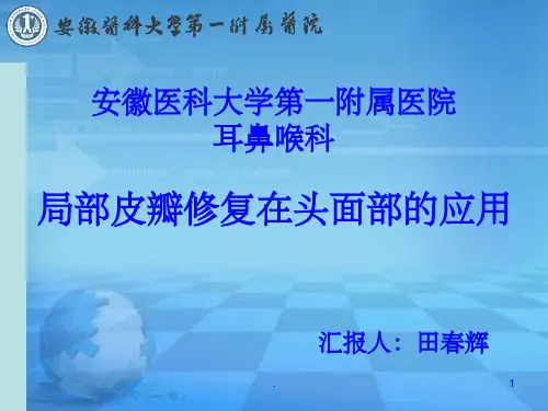面部皮瓣ppt课件