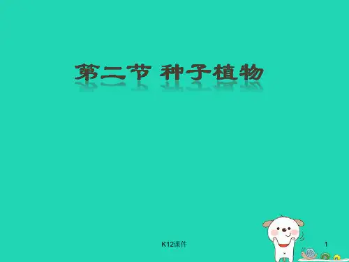 七年级生物上册 3.1.2种子植物课件 (新版)新人教版
