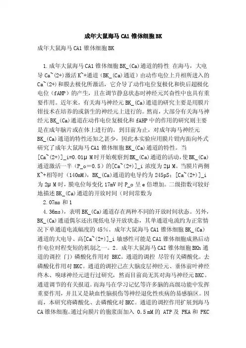 成年大鼠海马CA1锥体细胞BK