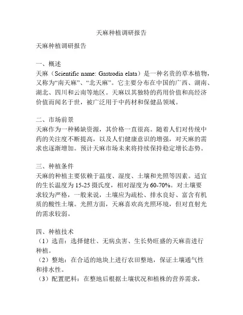 天麻种植调研报告