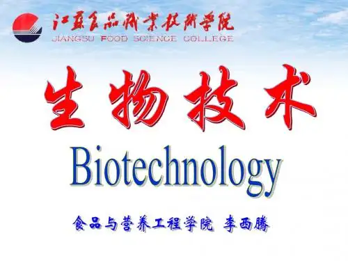现代生物技术第五章酶工程汇总.