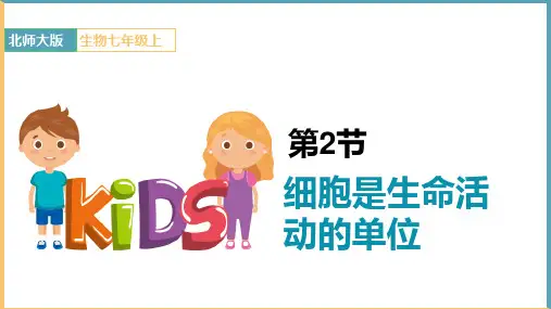 初中生物北师大版七年级上册《 细胞是生命活动的单位》课件