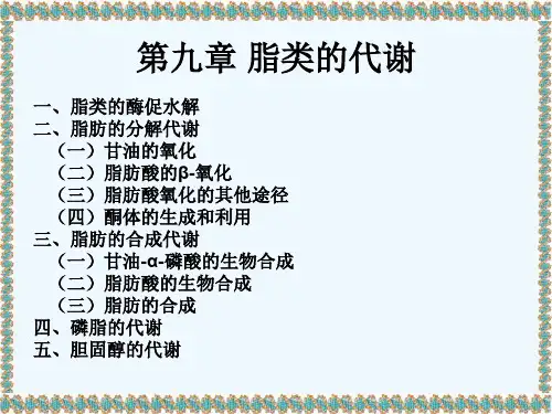 天津大学生物化学课件LectureFatMetabolism