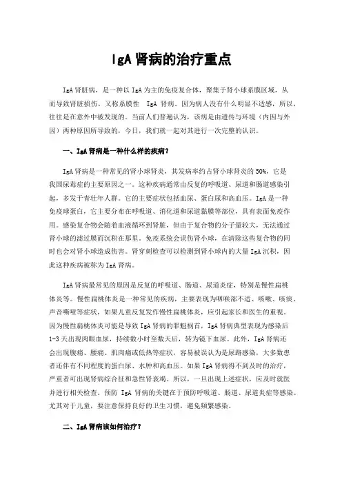 IgA肾病的治疗重点