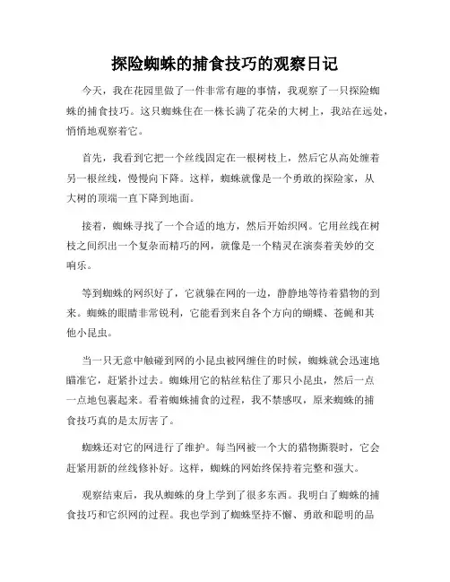 小学三年级作文探险蜘蛛的捕食技巧的观察日记