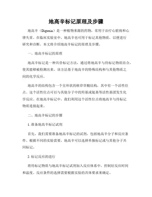 地高辛标记原理及步骤