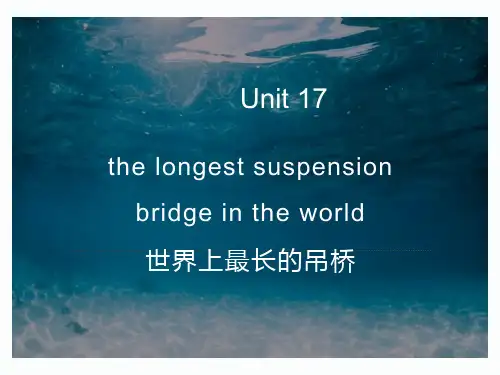 新概念英语第三册PPT课件：NCE3-lesson17(共26页)