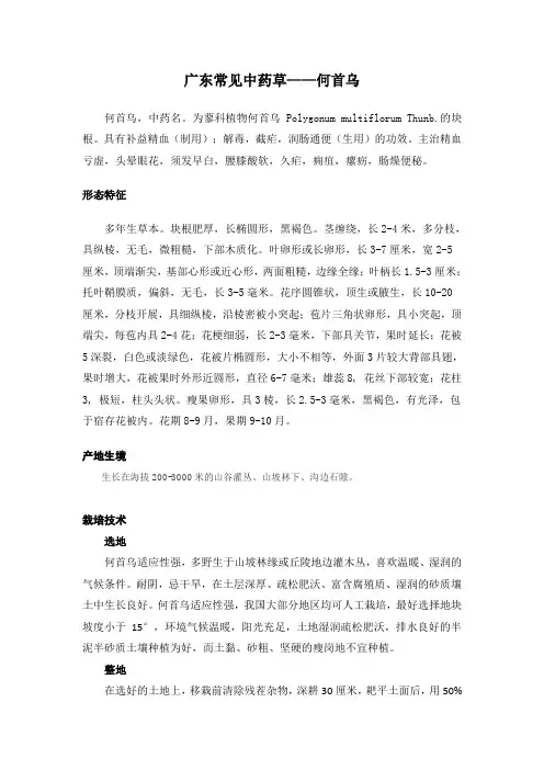 广东常见中药草——何首乌