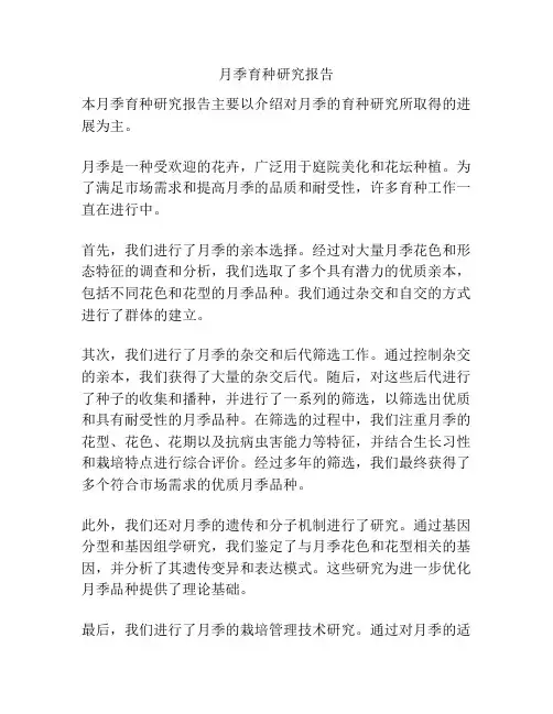 月季育种研究报告