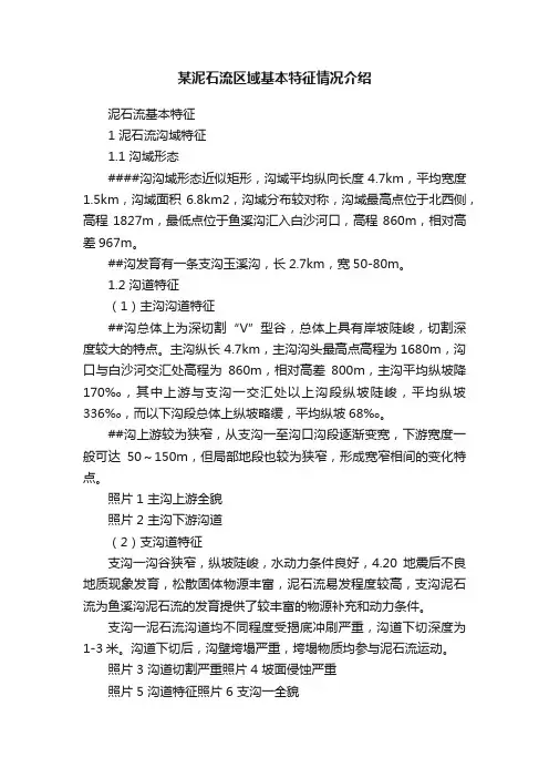 某泥石流区域基本特征情况介绍