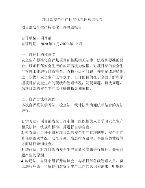 项目部安全生产标准化自评总结报告