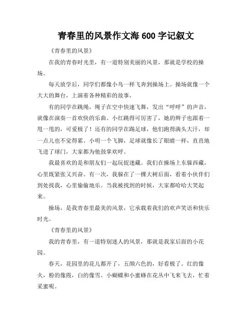 青春里的风景作文海600字记叙文