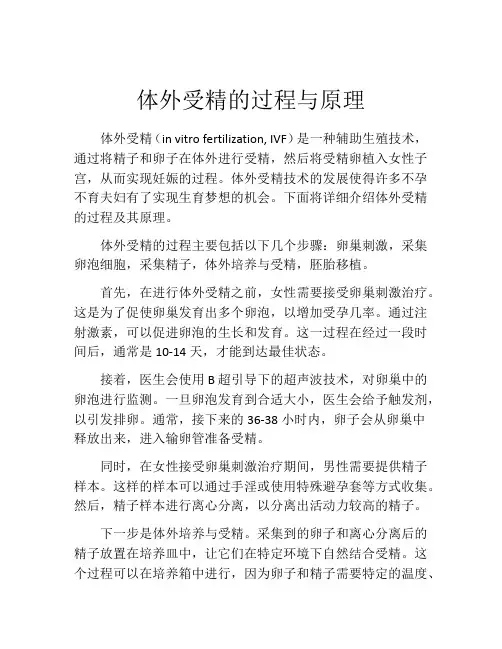体外受精的过程与原理
