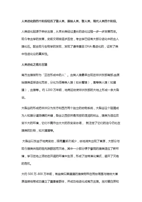 人类进化的历程
