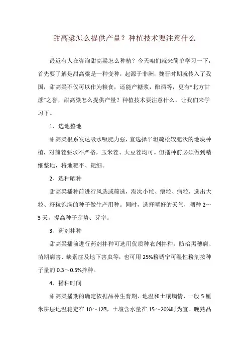 甜高粱怎么提供产量？种植技术要注意什么