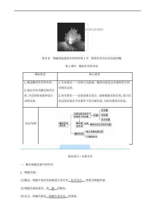 人教版高中生物同步学案 酶的作用和本质