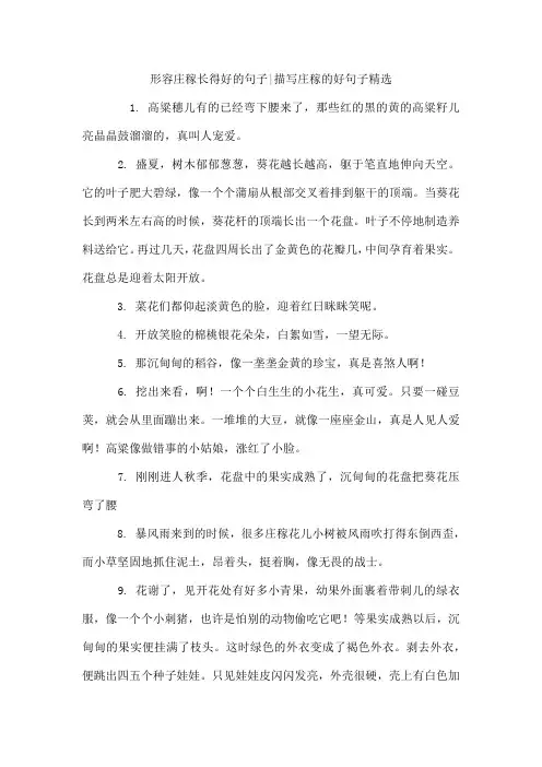 形容庄稼长得好的句子-描写庄稼的好句子精选
