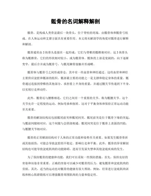 骶骨的名词解释解剖