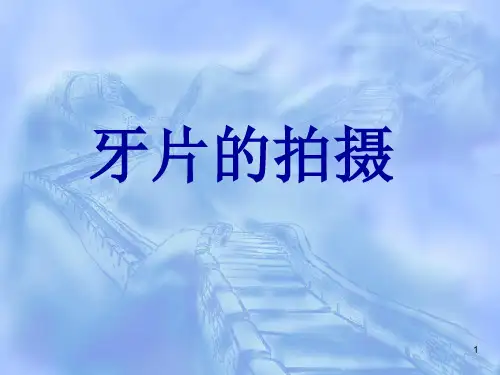 教学拍牙齿片子ppt课件