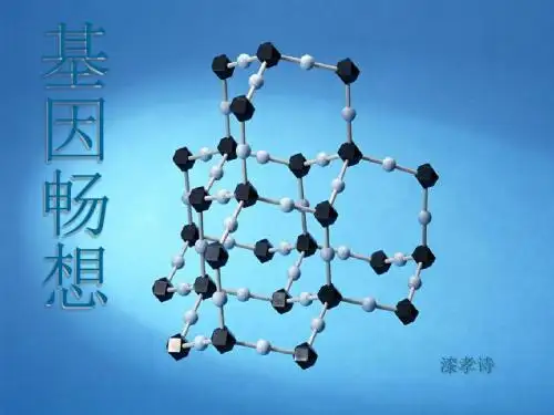 基因畅想PPT课件2 语文版 (共13张PPT)
