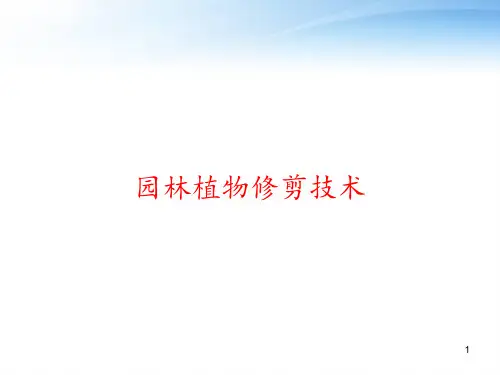园林植物修剪技术 ppt课件