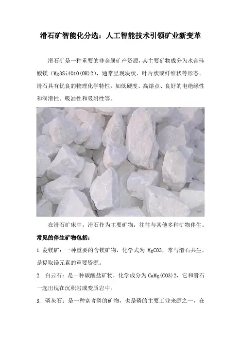 滑石矿智能化分选：人工智能技术引领矿业新变革
